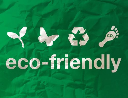 Tips on how to be eco-friendly and protect the environment