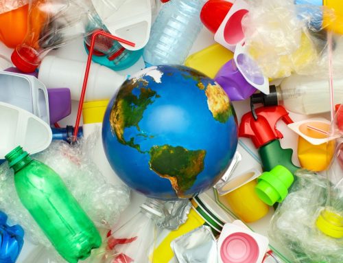 How does plastic harm the environment?